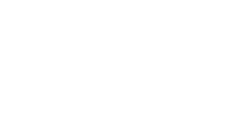 Pepsi MAX
